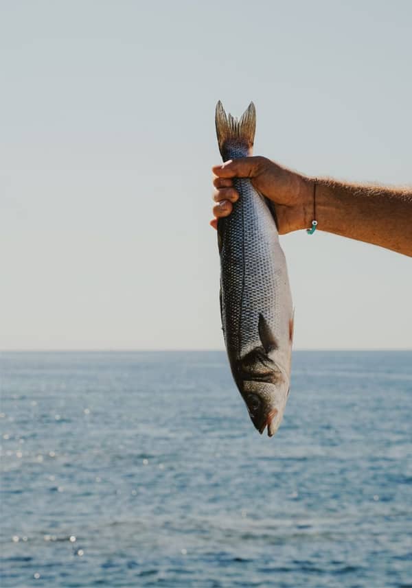 Φρεσκοψάρευτο λαβράκι στο χέρι, με φόντο τη θάλασσα